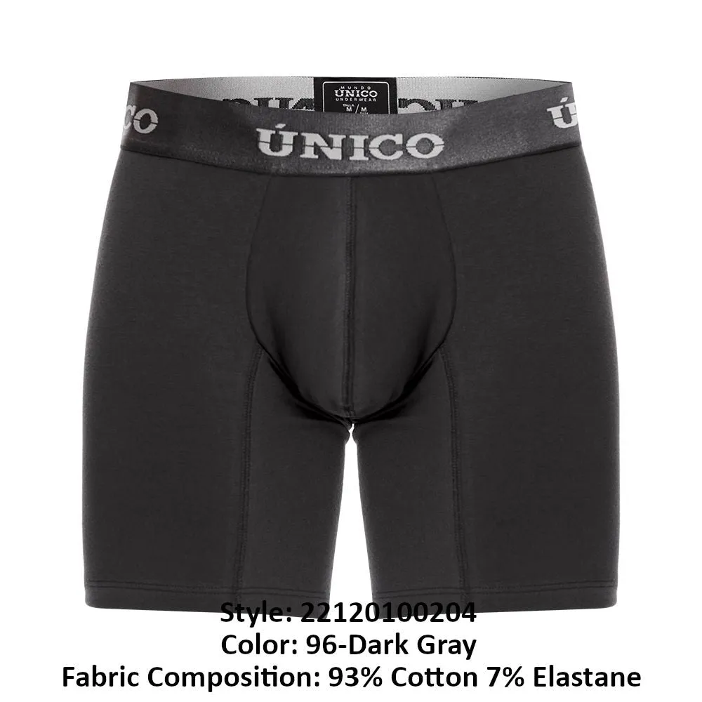 Asfalto A22 Boxer Briefs