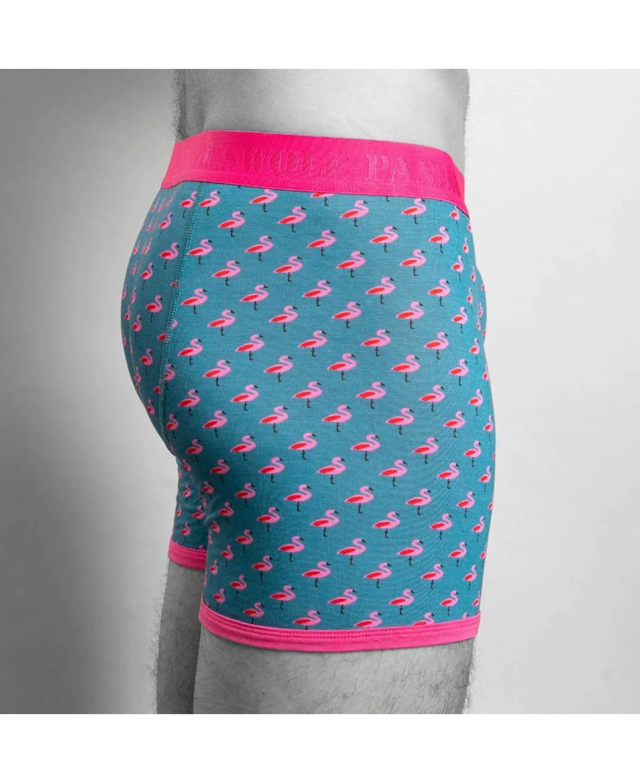 Bamboo Boxers - Flamingo/Pink Band