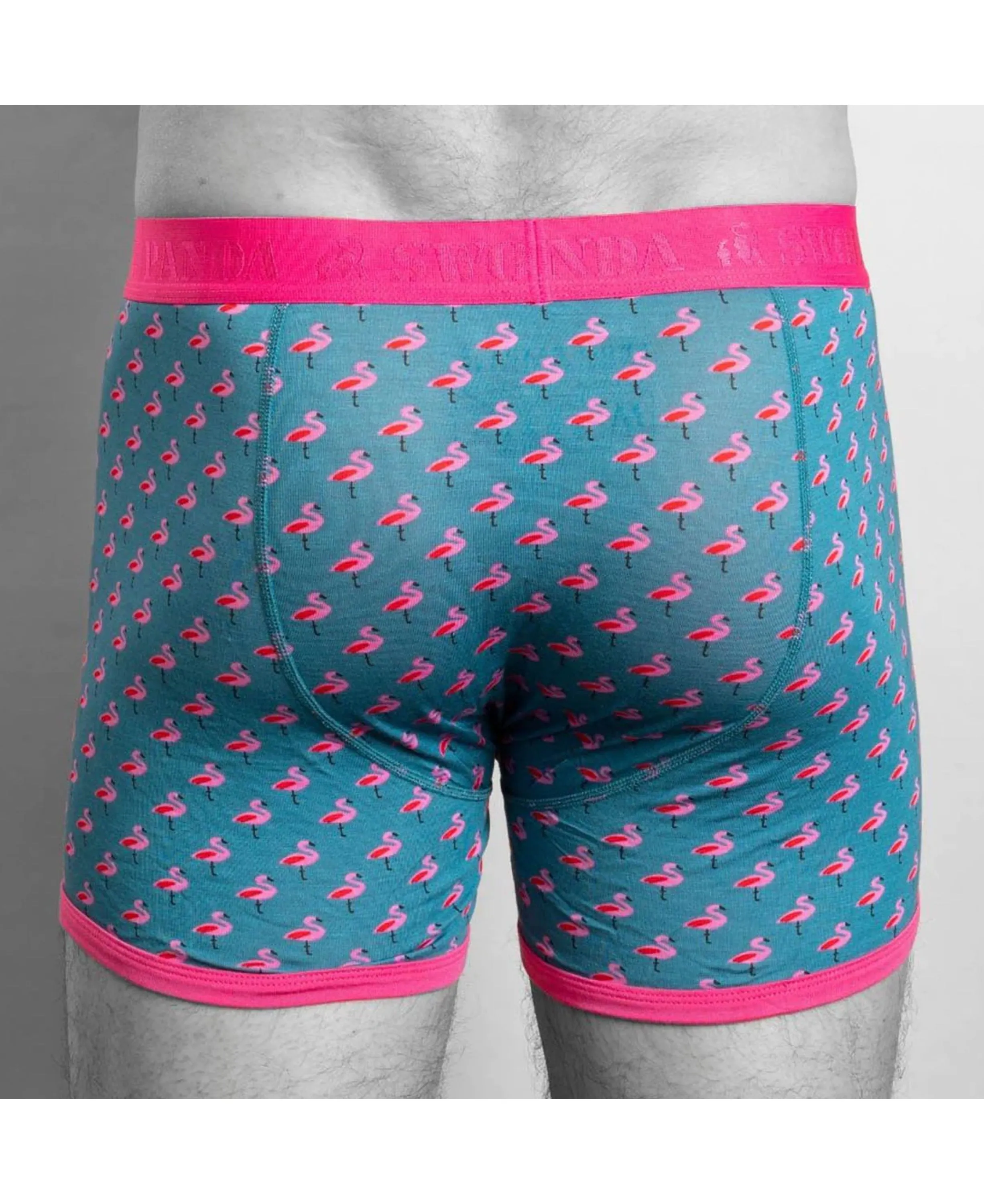 Bamboo Boxers - Flamingo/Pink Band