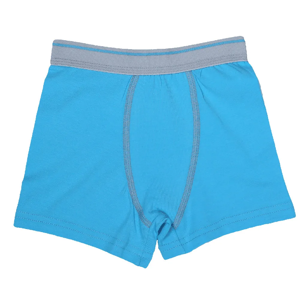 Boys Boxers c.410 Blue and Gray