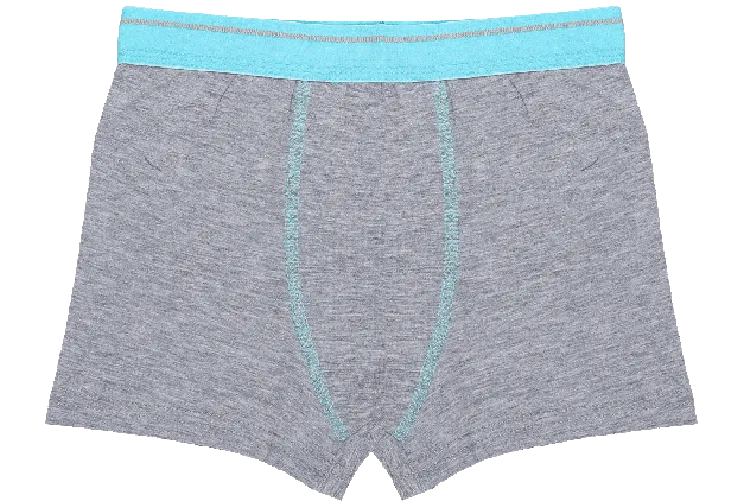 Boys Boxers c.410 Light Blue and Gray