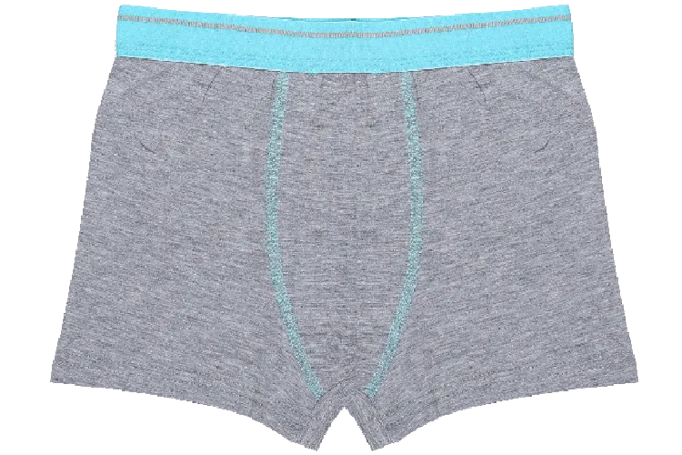 Boys Boxers c.410 Light Blue and Gray