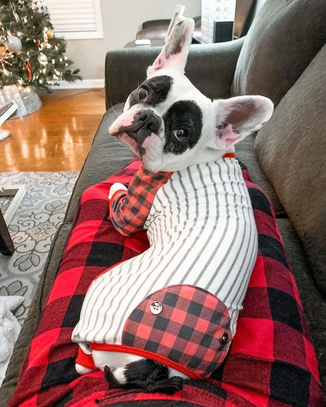 French Bulldog Pajamas | Frenchie Clothing | Buffalo Plaid