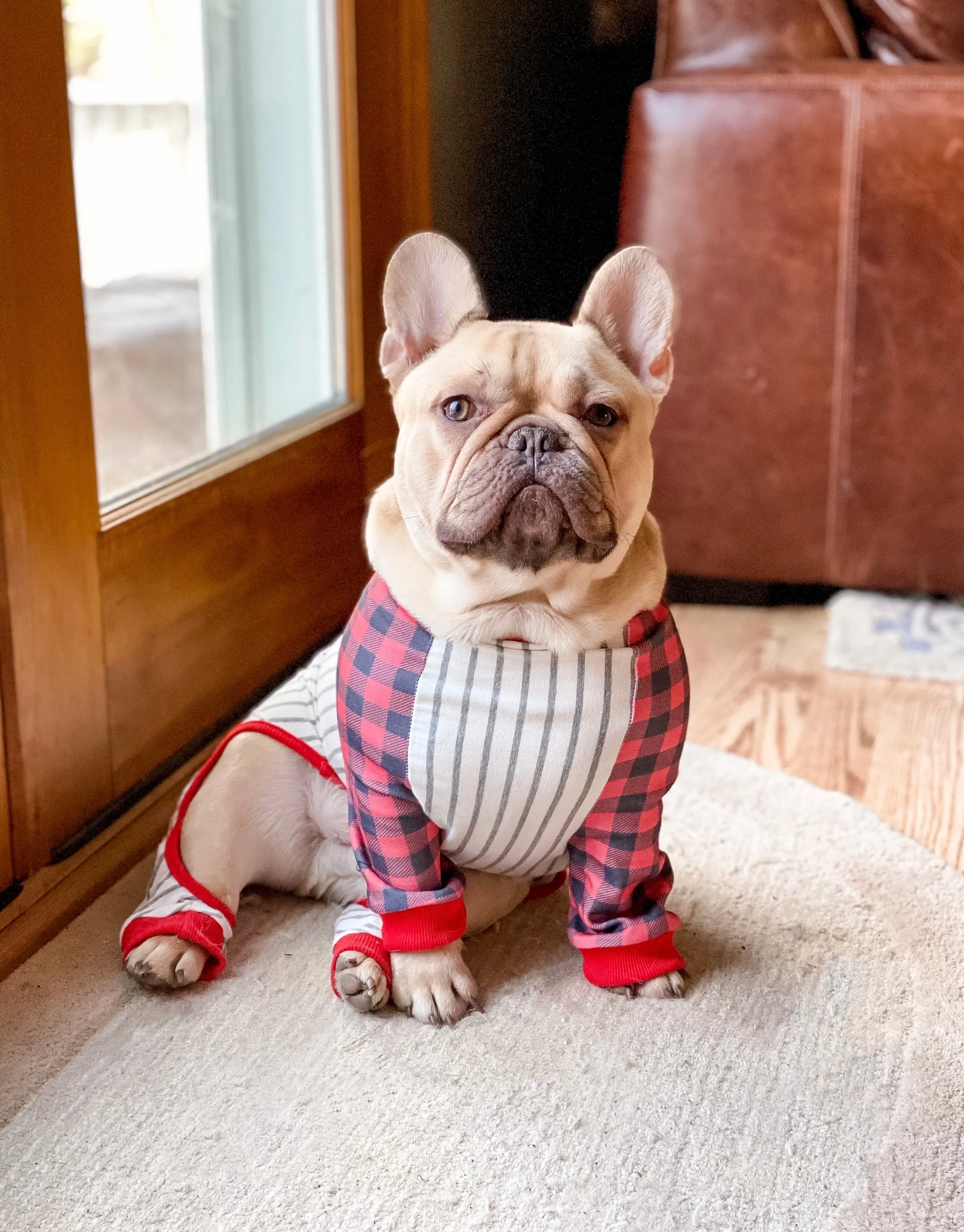 French Bulldog Pajamas | Frenchie Clothing | Buffalo Plaid