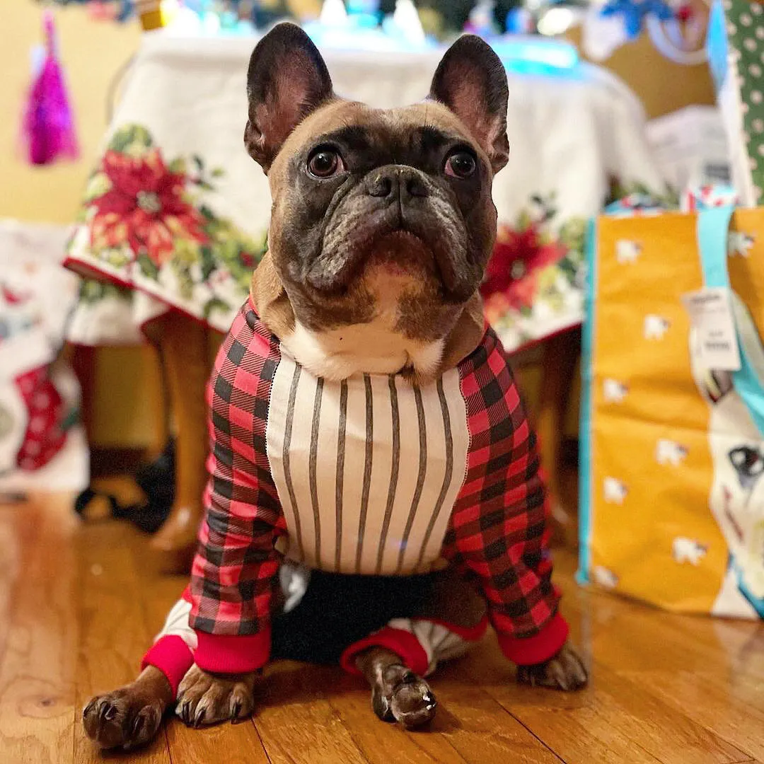 French Bulldog Pajamas | Frenchie Clothing | Buffalo Plaid