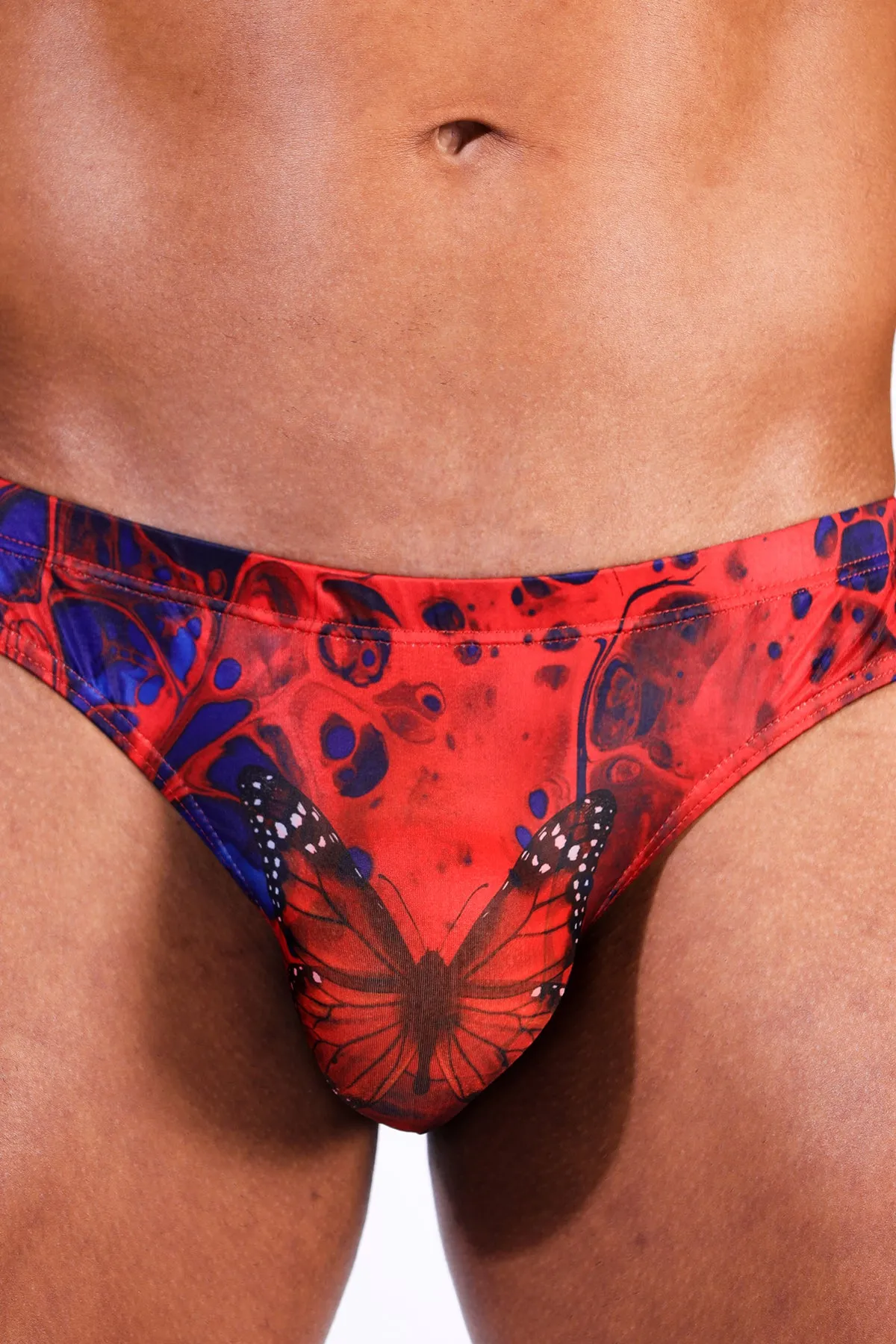 Romantic Lingerie Briefs with Butterfly Print