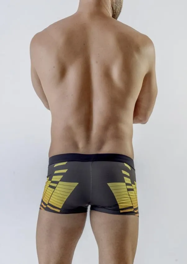 Swimming  boxers 1705b1