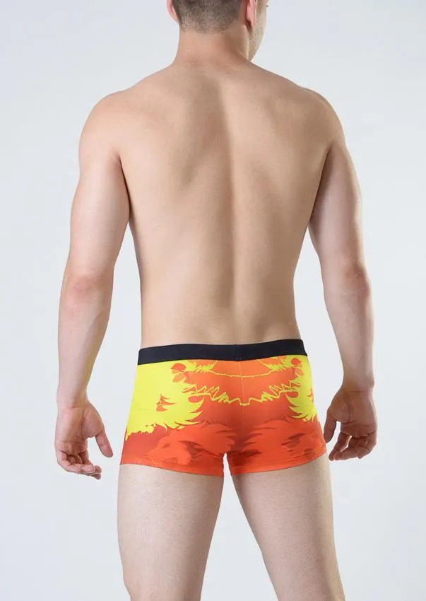 Swimming  boxers 1815b1